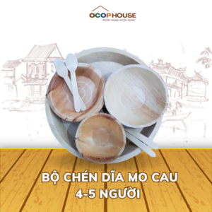 Bộ Chén Bát Dĩa Ăn Cơm Kèm Muỗng Mo Cau 4-5 Người Dùng