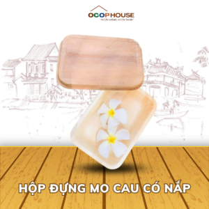 Bộ 10 Hộp Đựng Có Nắp