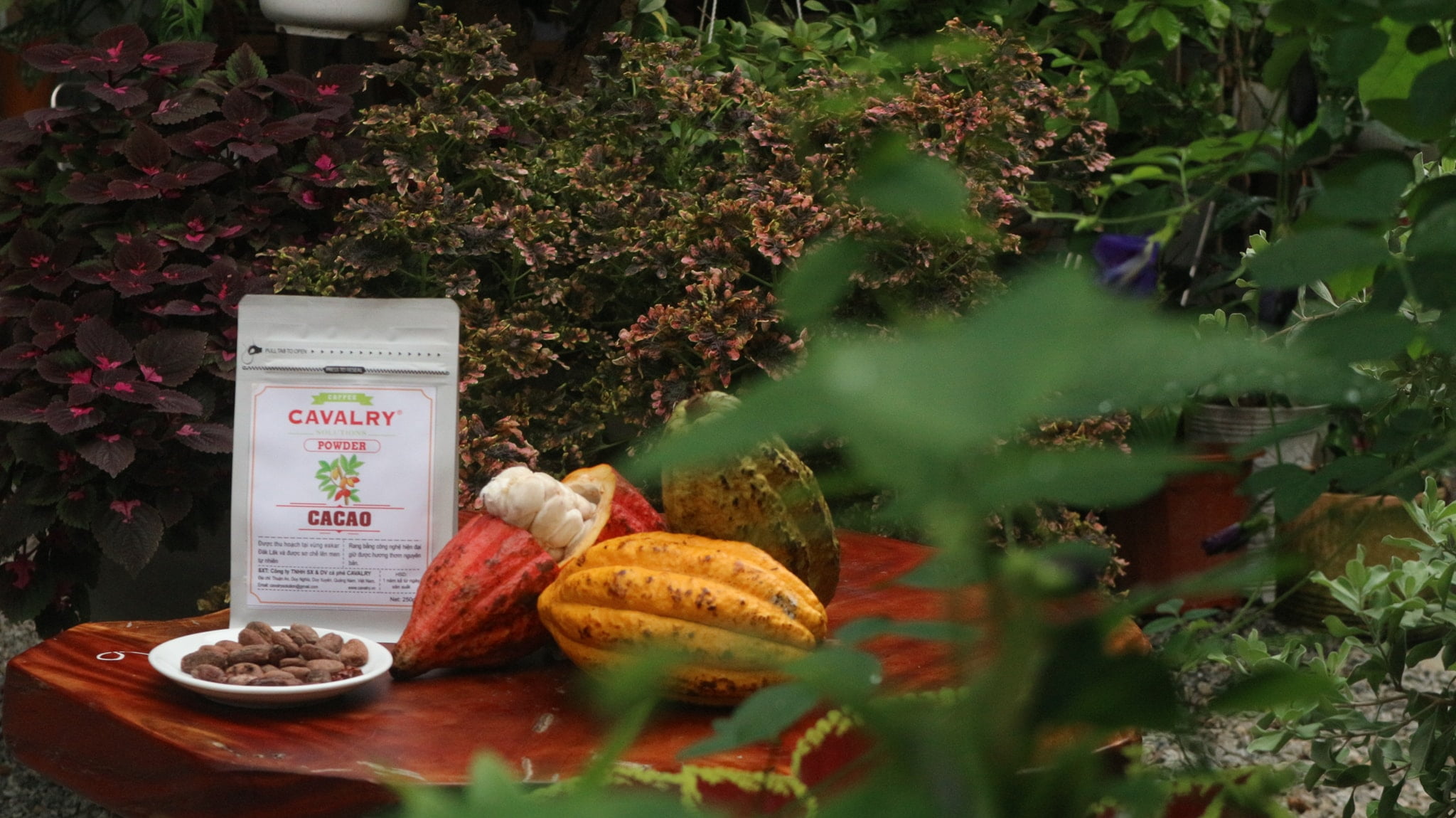 Bột Cacao Nguyên Chất Cavalry 250g - Ảnh 3